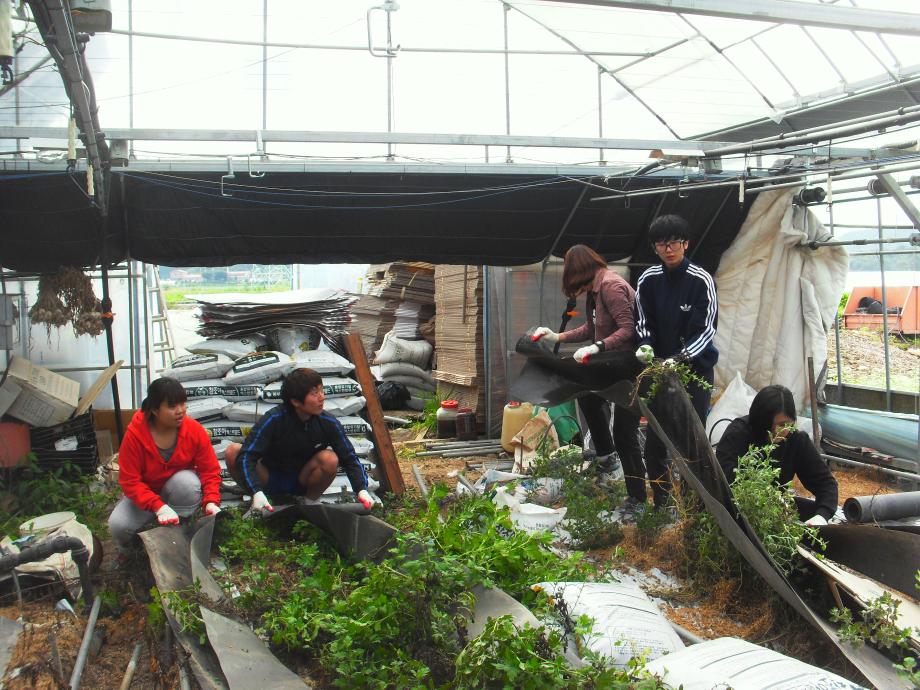 제2회 세명대학교 부동산학과 농촌봉사활동 실시