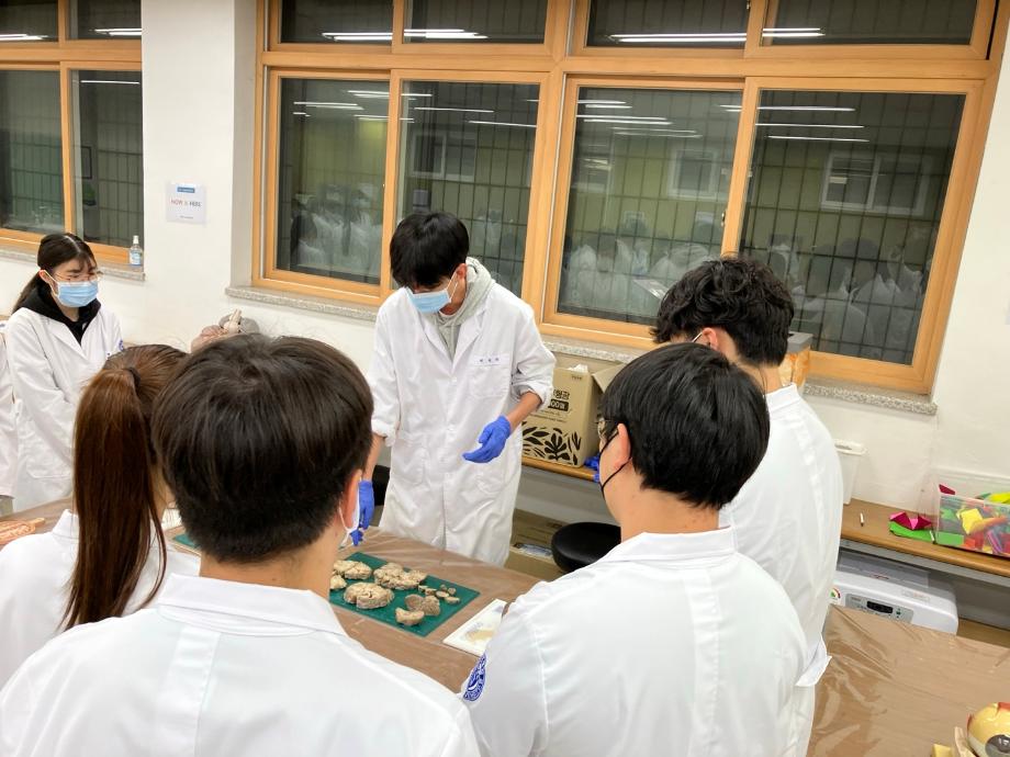 2024학년도 기초실습역량향상프로그램 (카데바 실습)