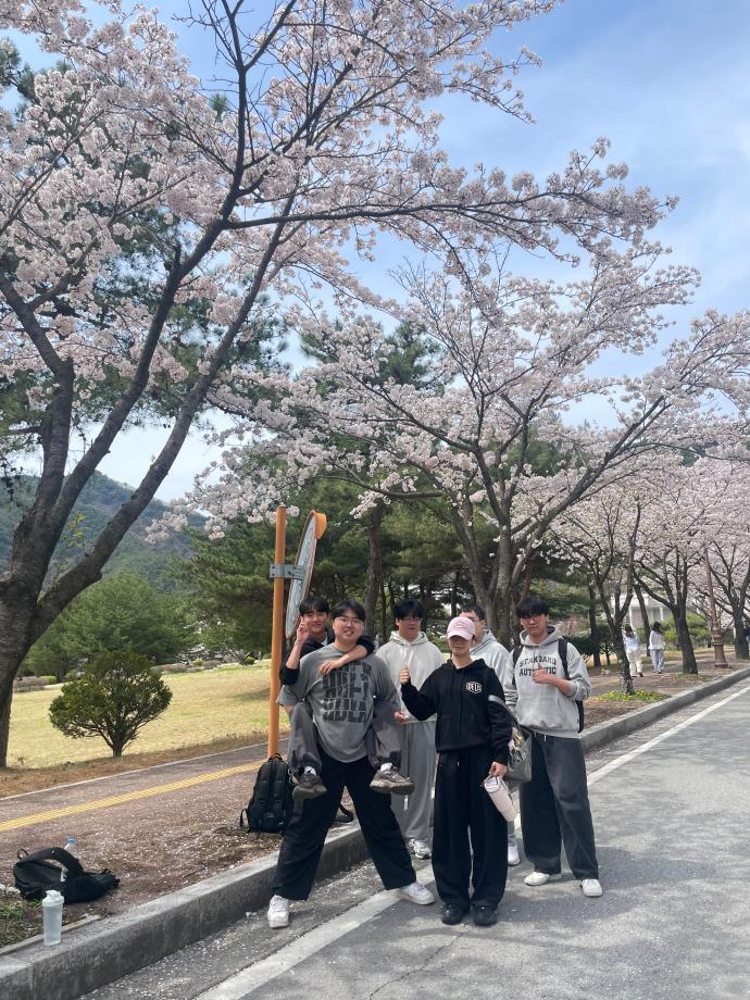 [경영학과] 26학번 새내기들의 벚꽃사진